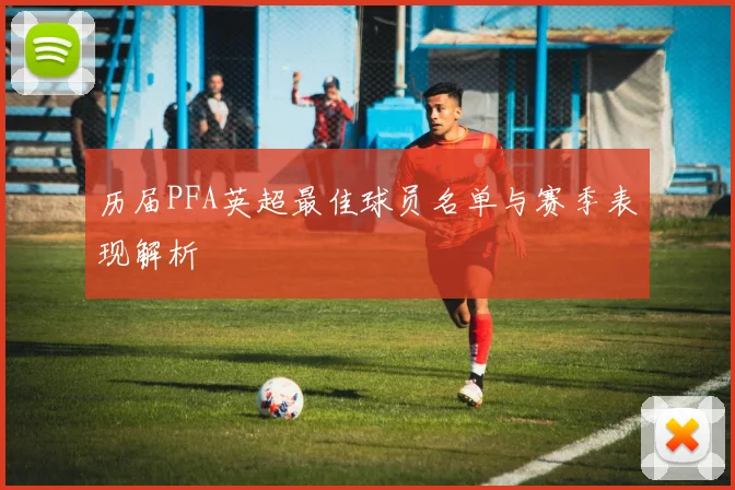 历届PFA英超最佳球员名单与赛季表现解析