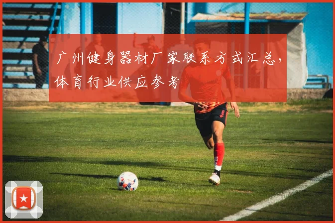 广州健身器材厂家联系方式汇总，体育行业供应参考