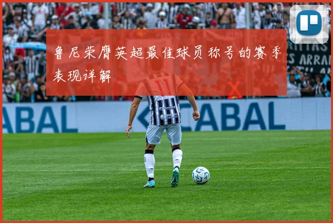 鲁尼荣膺英超最佳球员称号的赛季表现详解